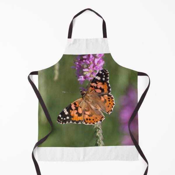 Item preview, Painted lady designed and sold by pietrofoto.