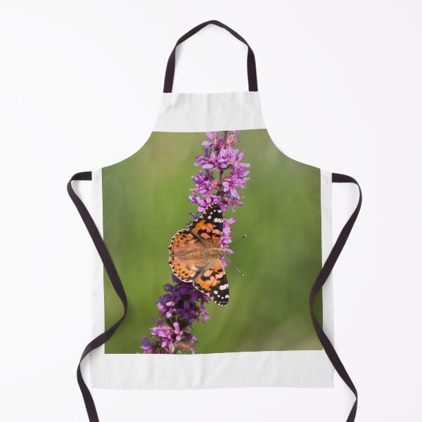 Item preview, Painted lady butterfly designed and sold by pietrofoto.