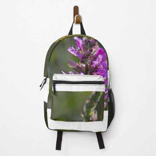 Item preview, Dark clouded yellow butterfly designed and sold by pietrofoto.