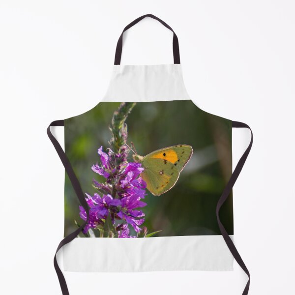 Item preview, Dark clouded yellow butterfly designed and sold by pietrofoto.