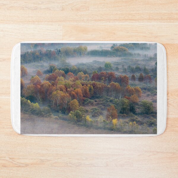 Artikelvorschau, Bäume im Herbst entworfen und verkauft von pietrofoto.