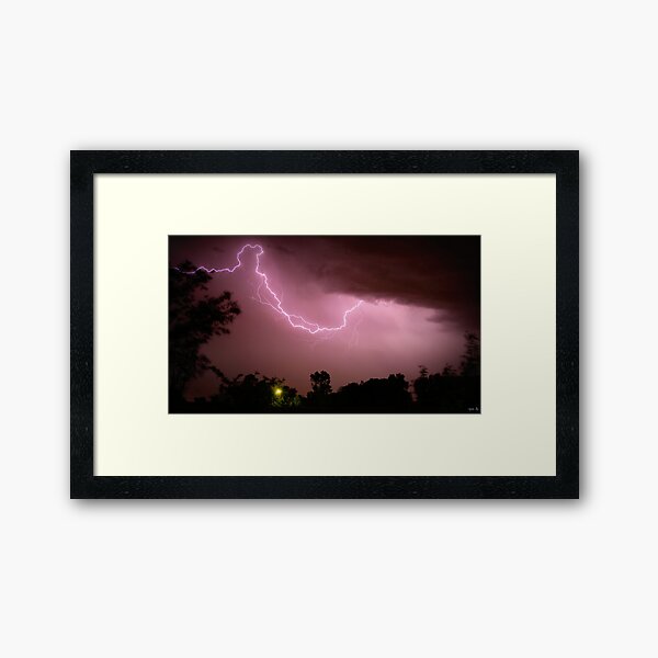 Through the Trees II Framed Art Print