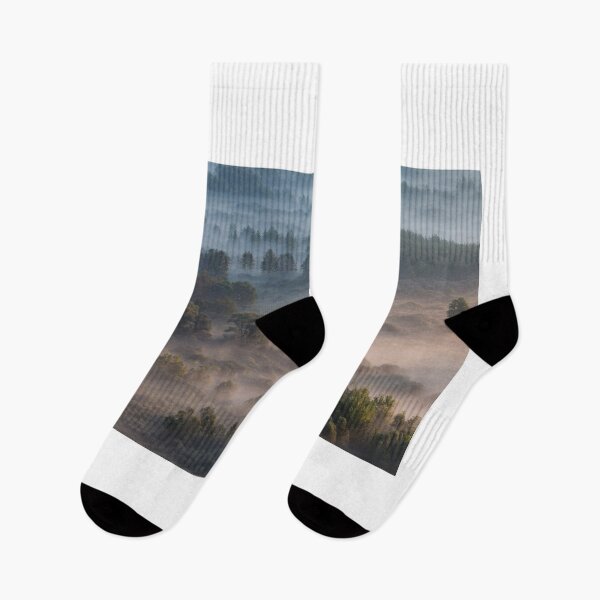 Item preview, Trees in the morning mist designed and sold by pietrofoto.