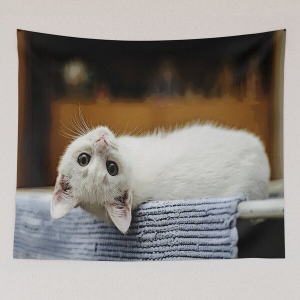 Item preview, Playful White Kitten designed and sold by LydiasPlace.