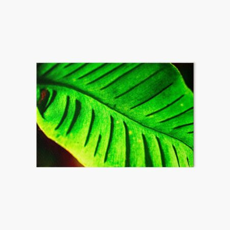 Leaf in Tropical Green Art Board Print