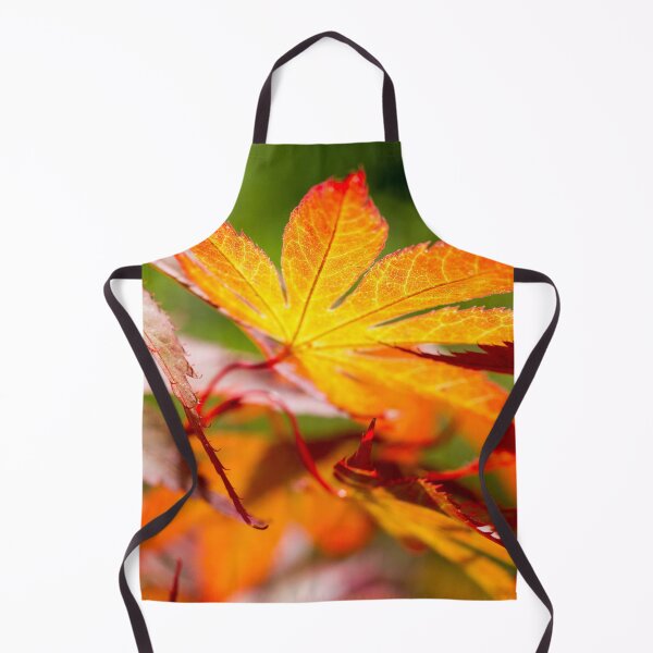 Item preview, Autumn Acer Leaf in Orange and Red  by heidiannemorris ©️  designed and sold by FOLK ART FUSION by heidiannemorris.