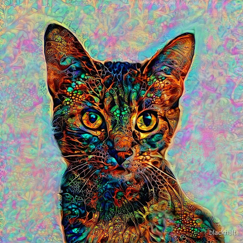 Abstractions Of Abstract Abstraction Of Cat By Blackhalt Redbubble