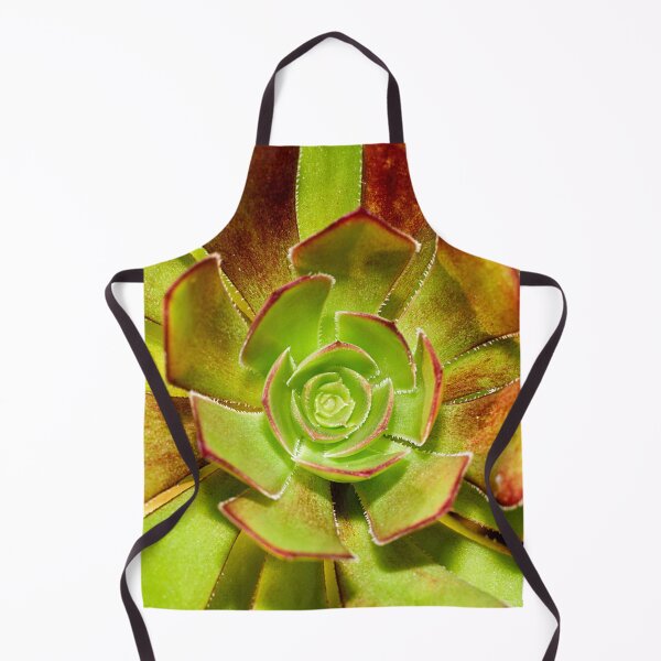 Item preview, Aeonium Evergreen Succulent designed and sold by FOLK ART FUSION by heidiannemorris.