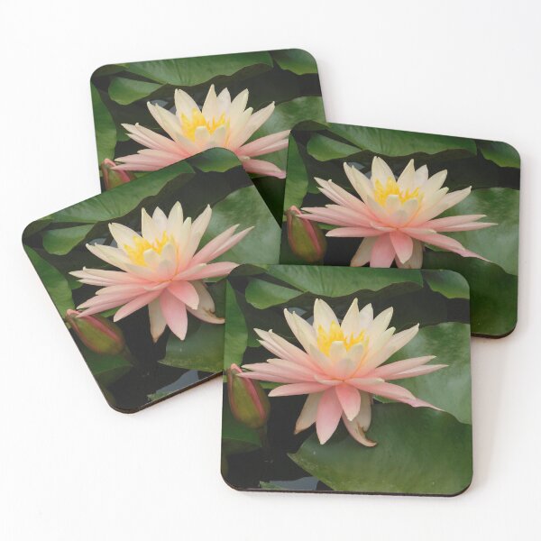Item preview, Tranquil Lily  designed and sold by Izayo-Darke1.