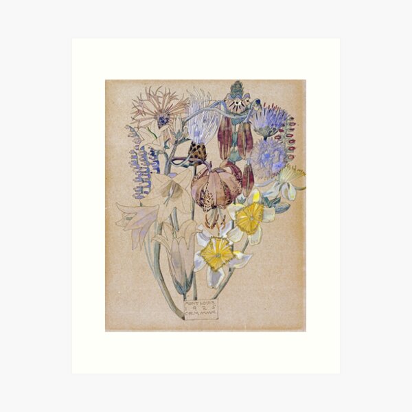 Item preview, Charles Rennie Mackintosh - Mont Louis - Flower Study designed and sold by artcenter.