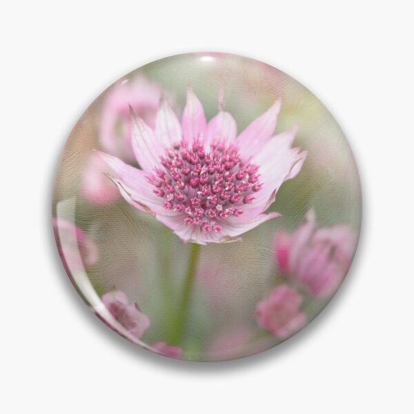 Item preview, Astrantia designed and sold by OpalFire.