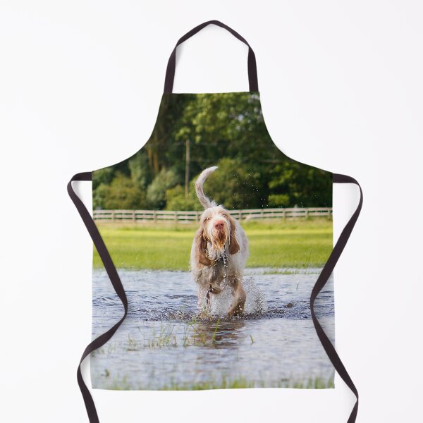 Item preview, Flooded field Spinoni by heidiannemorris designed and sold by FOLK ART FUSION by heidiannemorris.