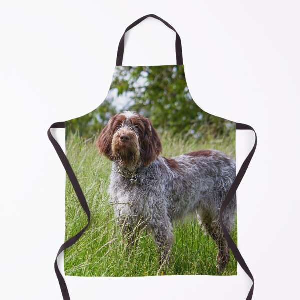 Item preview, Standing in a meadow Spinone designed and sold by FOLK ART FUSION by heidiannemorris.