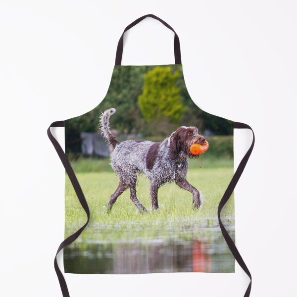 Item preview, Retrieving a dummy Spinone by heidiannemorris designed and sold by FOLK ART FUSION by heidiannemorris.