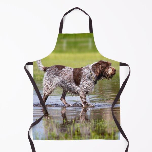 Item preview, Wading through a pool Spinone by heidiannemorris designed and sold by FOLK ART FUSION by heidiannemorris.