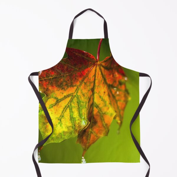 Item preview, Sugar Coated Autumn Maple Leaf designed and sold by FOLK ART FUSION by heidiannemorris.