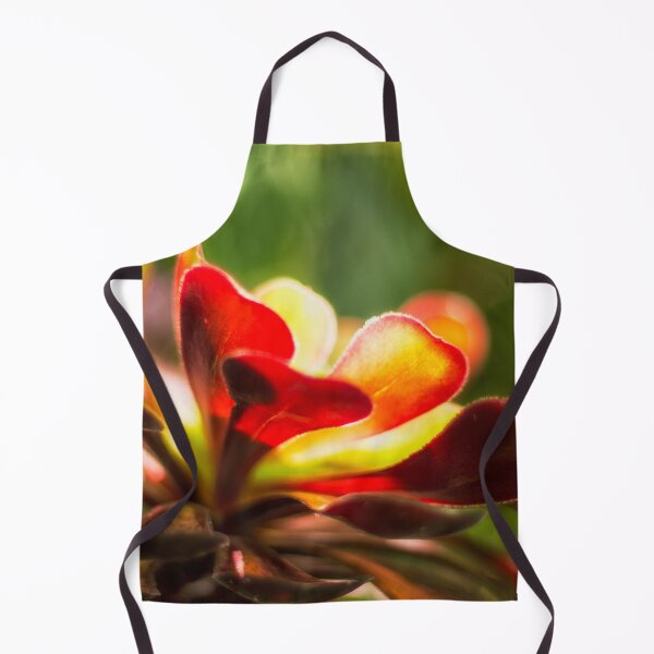 Item preview, Aeonium Zwartkop designed and sold by FOLK ART FUSION by heidiannemorris.