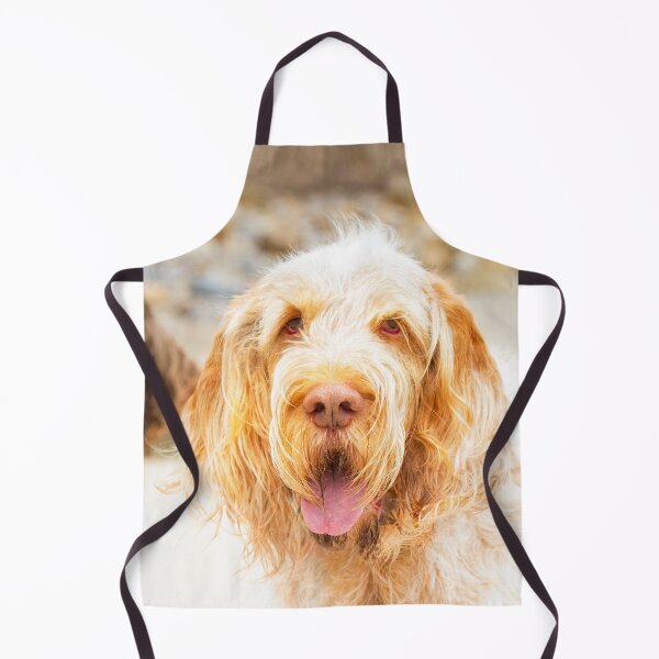 Item preview, Beach hair Spinone by heidiannemorris designed and sold by FOLK ART FUSION by heidiannemorris.