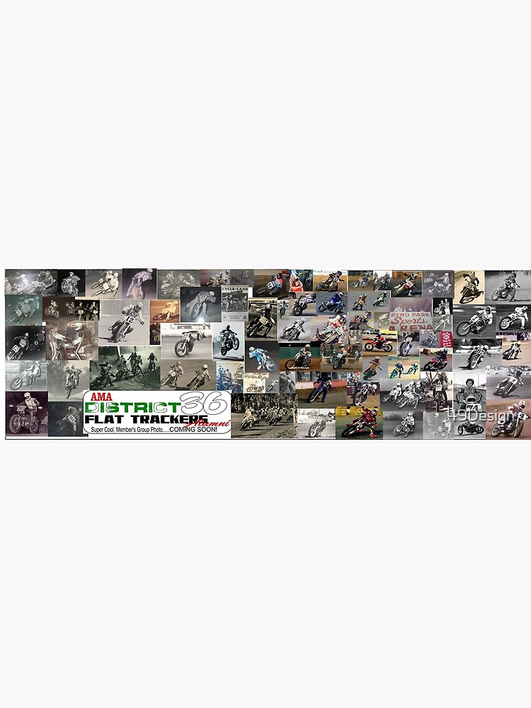 Póster «Distrito 36 Flattrack Alumni Photo Collage» de 49Design | Redbubble