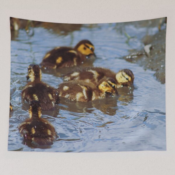 Item preview, Little Ducklings designed and sold by Maggie Reynolds.