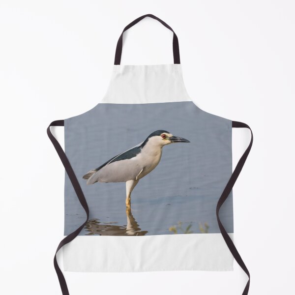 Item preview, Black crowned night heron designed and sold by pietrofoto.