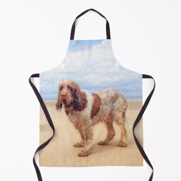 Item preview, Standing on a beach Spinoni by heidiannemorris designed and sold by FOLK ART FUSION by heidiannemorris.