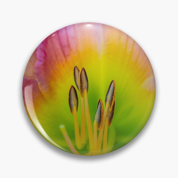 Item preview, Daylily designed and sold by alan shapiro.