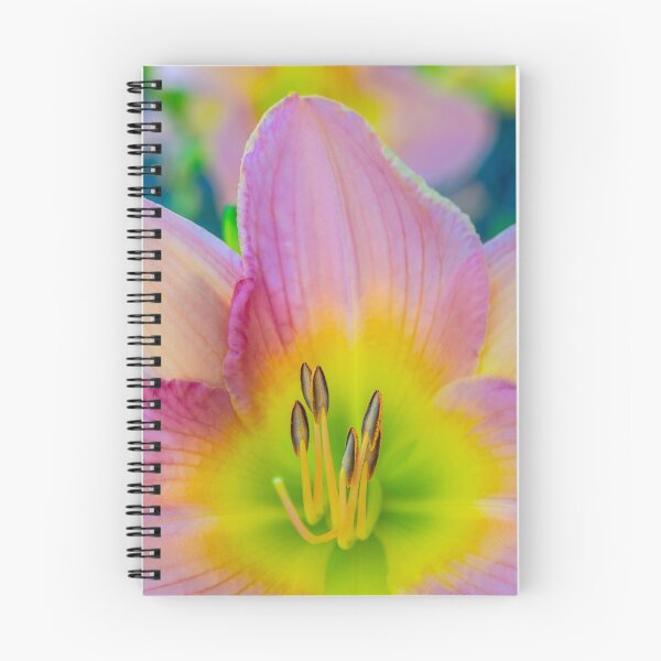 Item preview, Daylily designed and sold by alan shapiro.