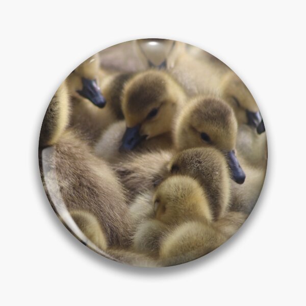 Item preview, Goslings designed and sold by Haywireartist.