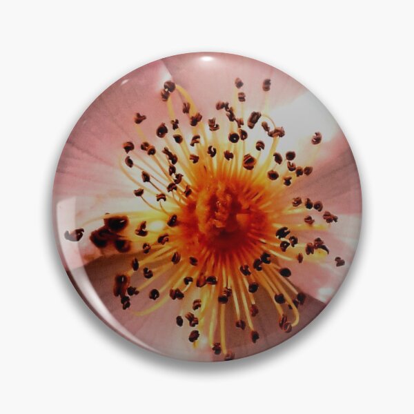 Item preview, CARA CENTRAL designed and sold by DebbieThompson.