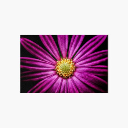 Purple Cosmos Art Board Print