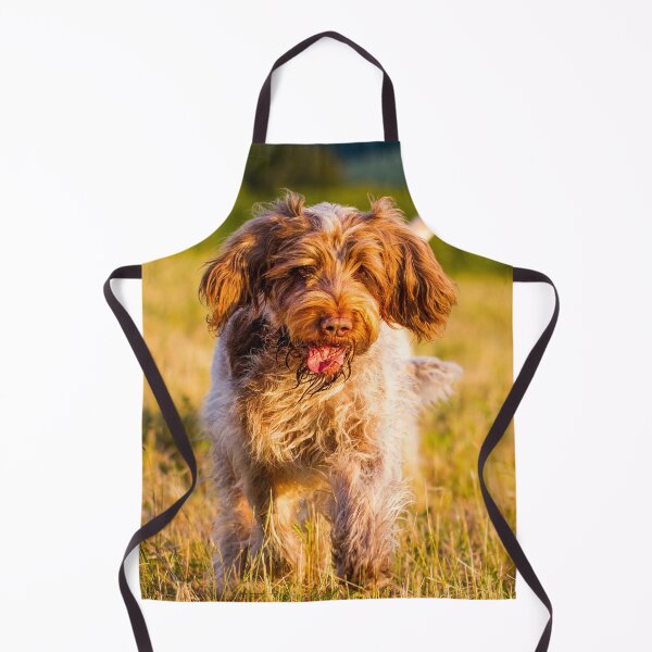 Item preview, Something on the floor Spinone designed and sold by FOLK ART FUSION by heidiannemorris.