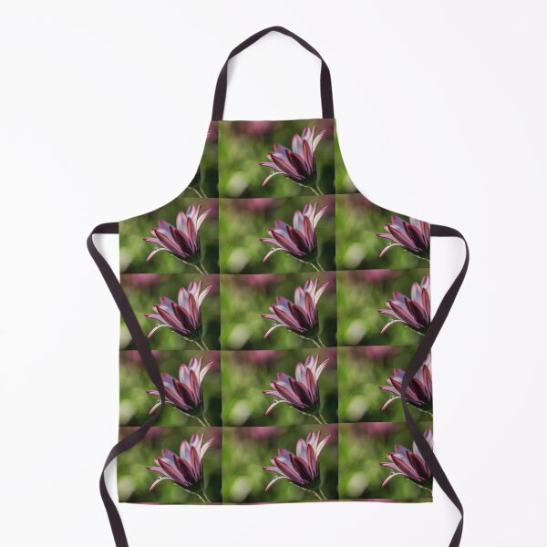 Item preview, Osteospermum. designed and sold by John Ray.
