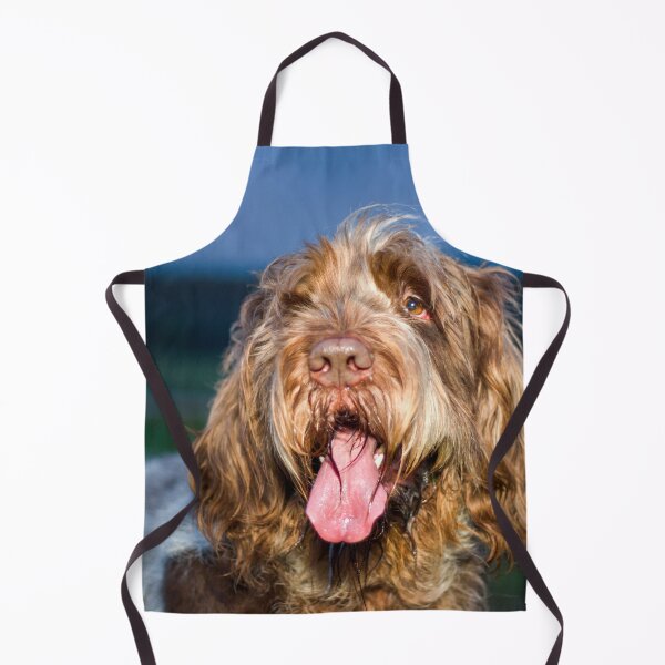 Item preview, Nighttime smile Spinone designed and sold by FOLK ART FUSION by heidiannemorris.