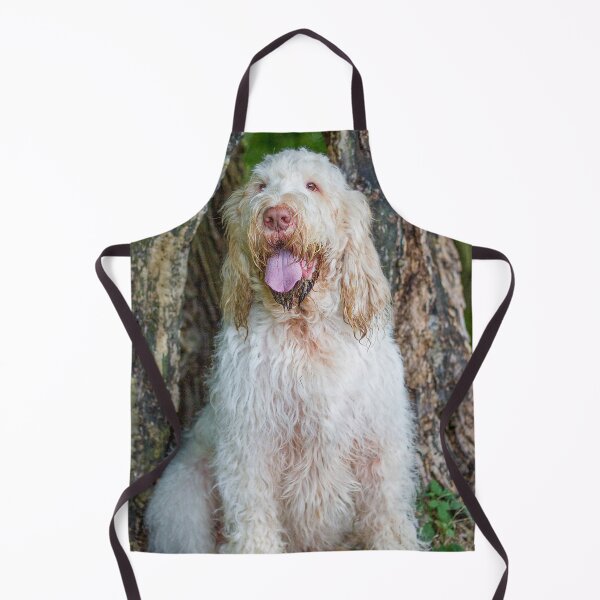 Item preview, Sitting with a tree Spinone designed and sold by FOLK ART FUSION by heidiannemorris.