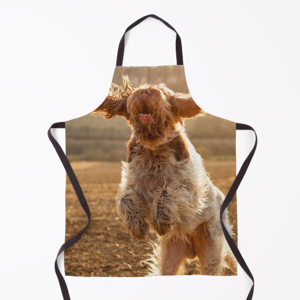 Item preview, Joyful jumping Spinone designed and sold by FOLK ART FUSION.
