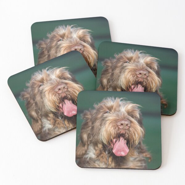 Artikelvorschau, Glücklicher entspannter Spinone entworfen und verkauft von FOLK ART FUSION.