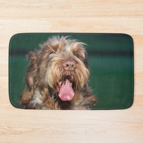 Item preview, Happy relaxed Spinone designed and sold by FOLK ART FUSION by heidiannemorris.