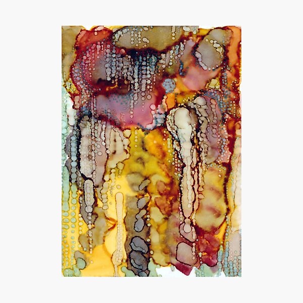 Sunshine Photographic Print