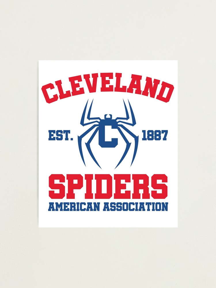 Cleveland Spiders Vintage Baseball Fan Gift Idea Art Board Print for Sale  by jtrenshaw