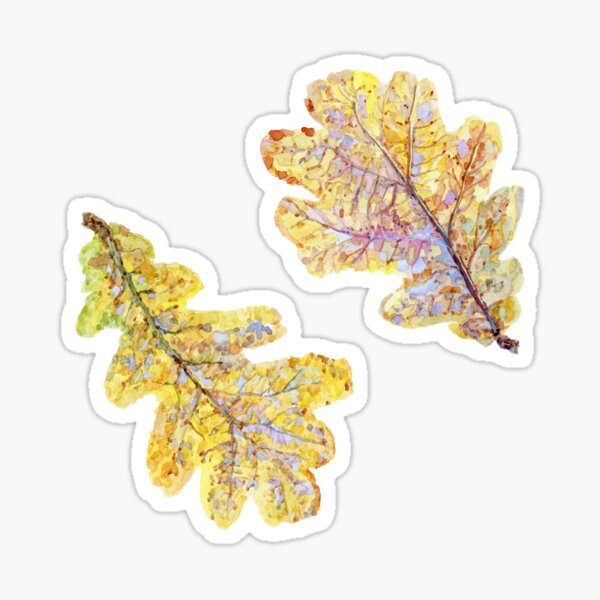 Item preview, English Oak Leaves designed and sold by beccaboyce.