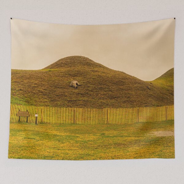 Item preview, Confederate Fort Fisher designed and sold by KensLensDesigns.
