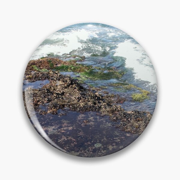 Item preview, Early Morning Tide Pools  designed and sold by heatherfriedman.