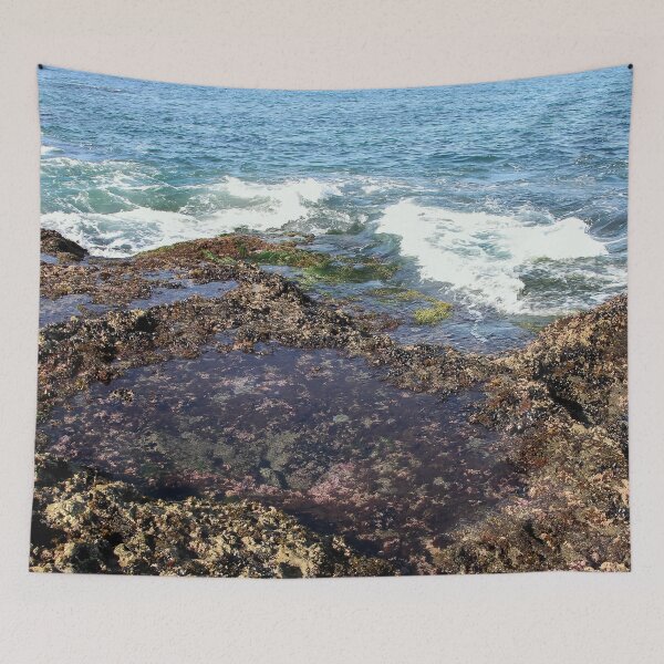 Item preview, Early Morning Tide Pools  designed and sold by heatherfriedman.