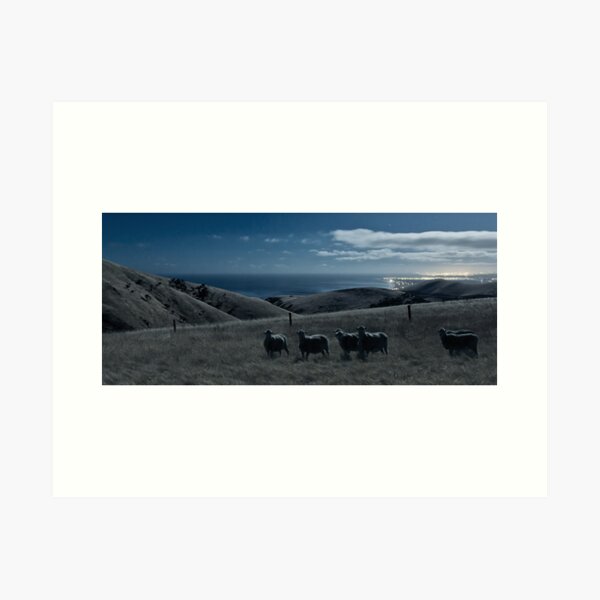Moonlight Sheep Art Print
