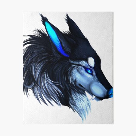 Impression Rigide Chien Loup Noir Sokka Dessin Loup Rouge Par Modymagic3 Redbubble