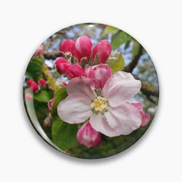 Item preview, Old Apple Blossom designed and sold by JayAceAro.