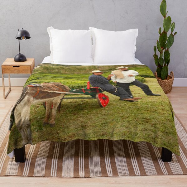 Item preview, Porto Formoso tea gardens designed and sold by Gaspar Avila.