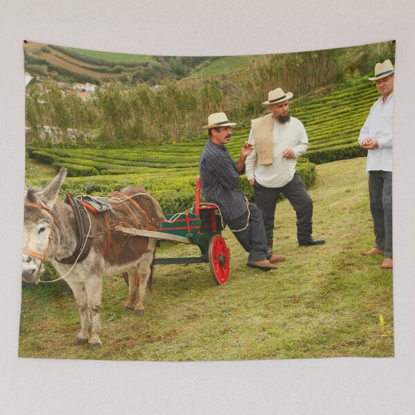 Item preview, Porto Formoso tea gardens designed and sold by Gaspar Avila.