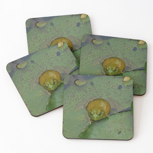 Item preview, Big Round Bullfrog designed and sold by Izayo-Darke1.